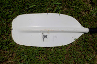 Kayak