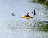 Dick_Burwell_5d11133_ (67)